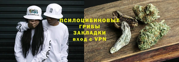 ALPHA PVP Богородицк